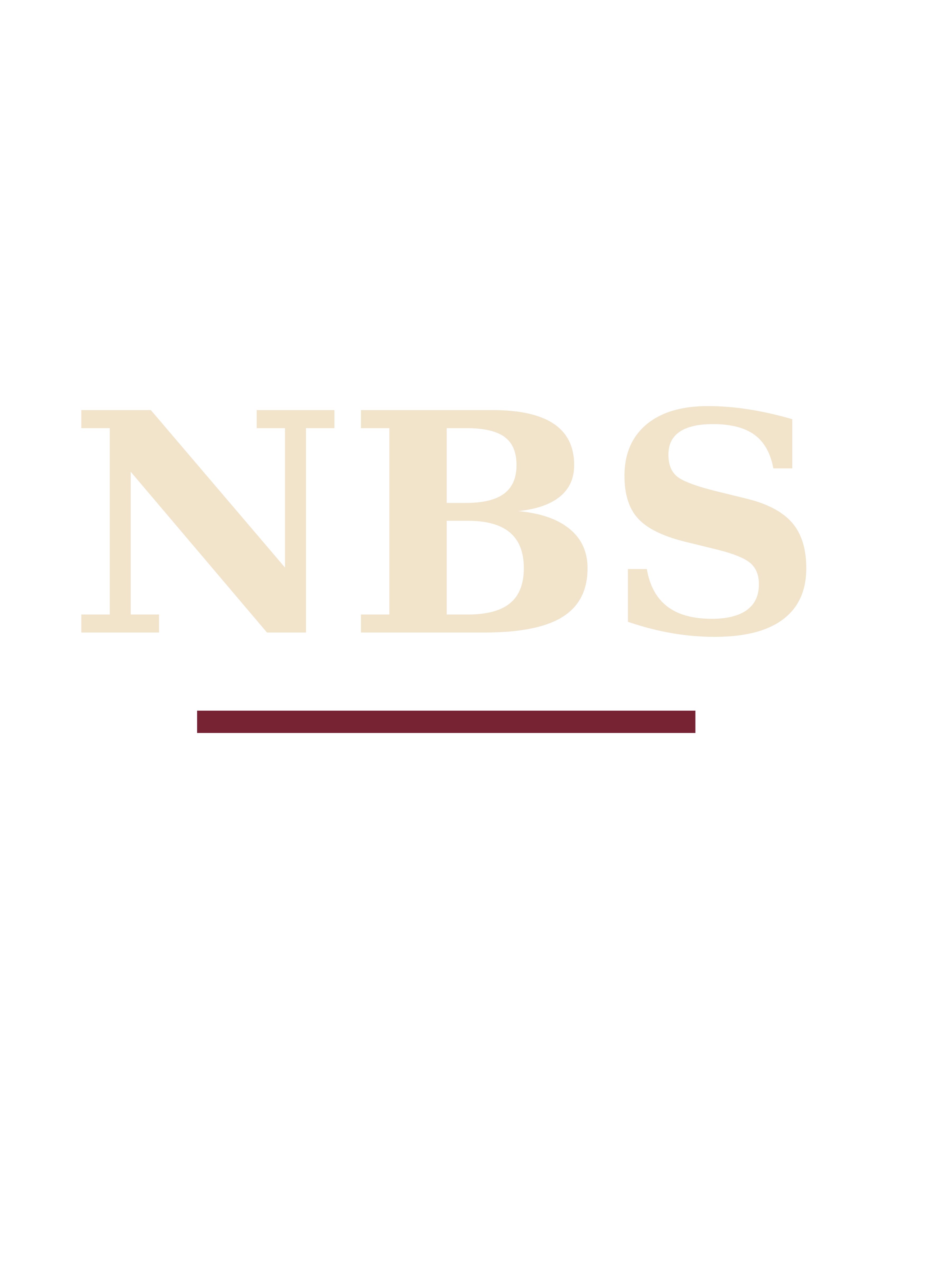 NBS Washed Cap standalone artwork